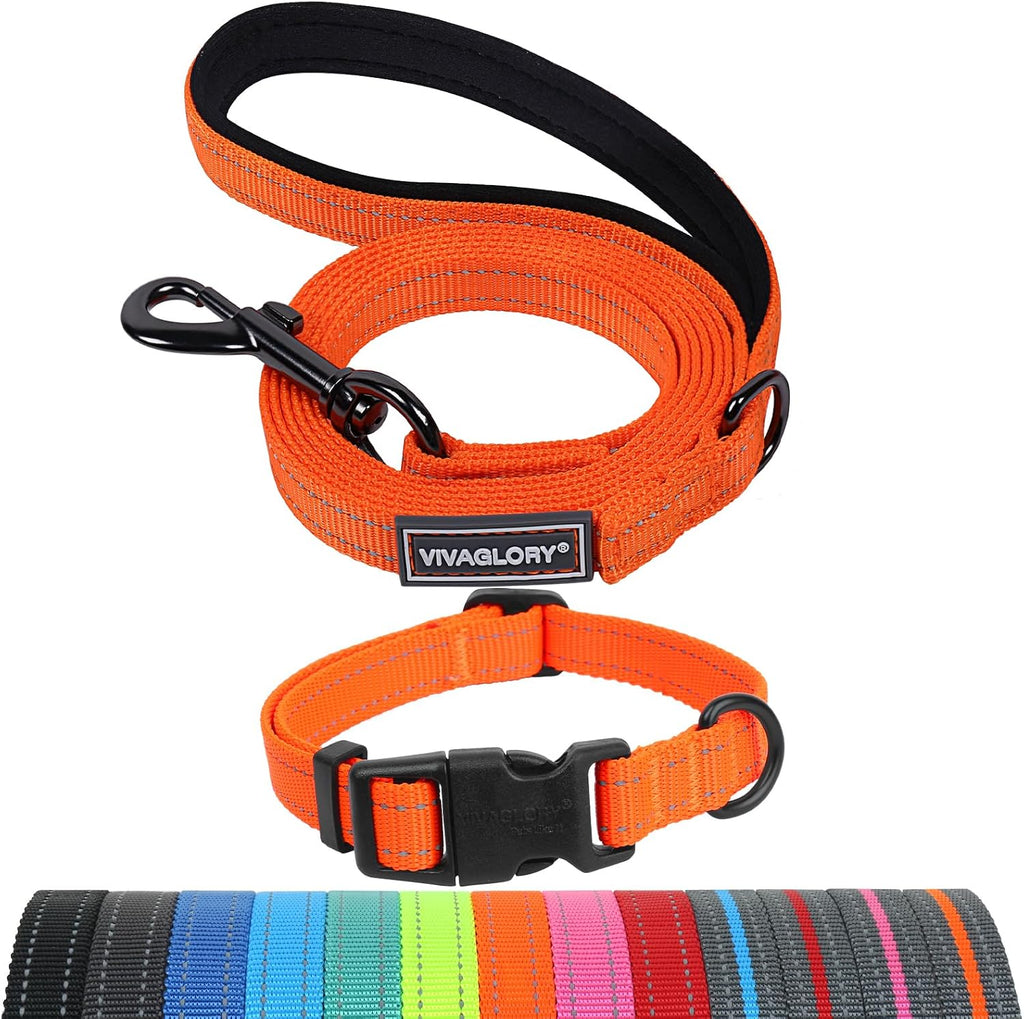 VIVAGLORY Dog Leash Dailyx Pet Leash with Soft Padded Handle for Training & Walking, Heavy Duty & Double Layer Nylon for Pet Puppy Collar, 3ft x 1in, Black - Image 10