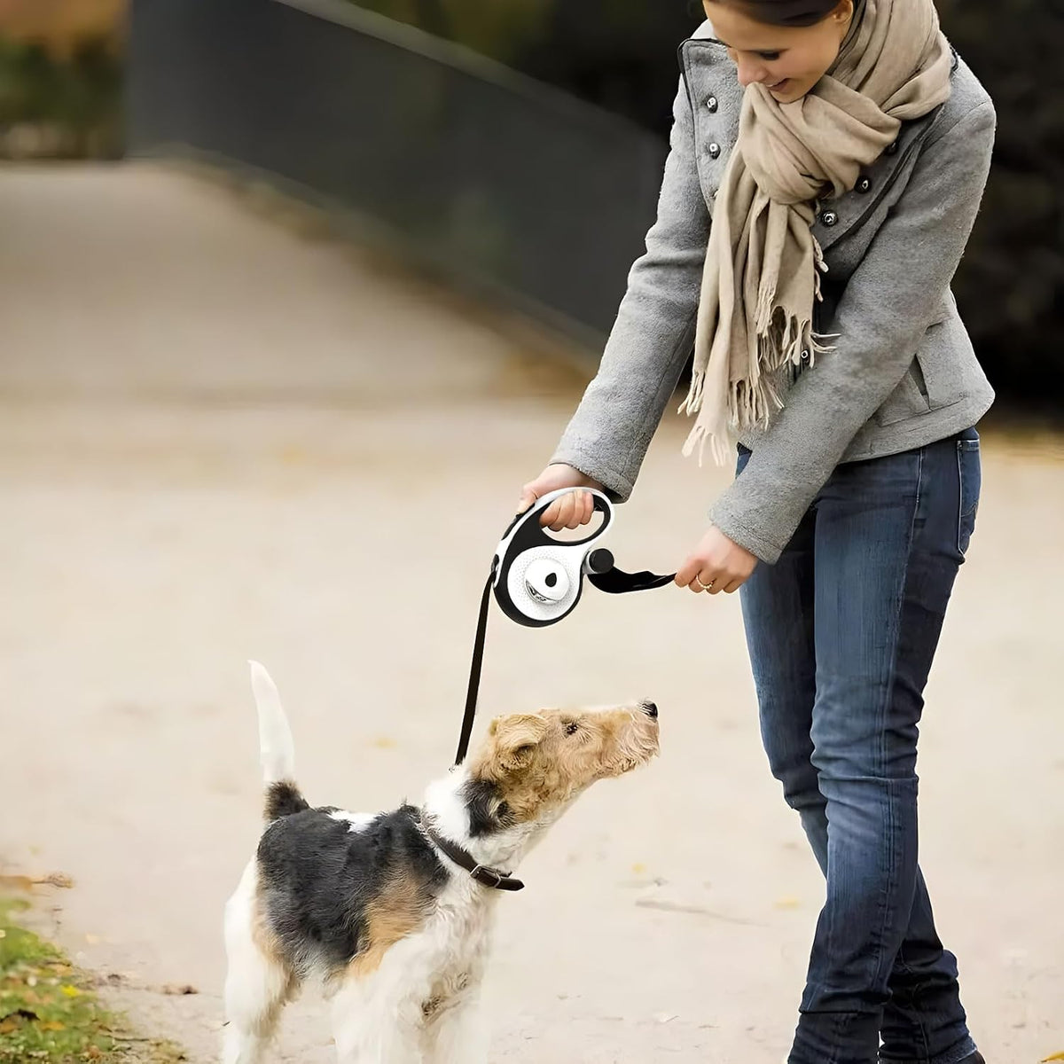 Vtopvmax dog leash packaging and included accessories