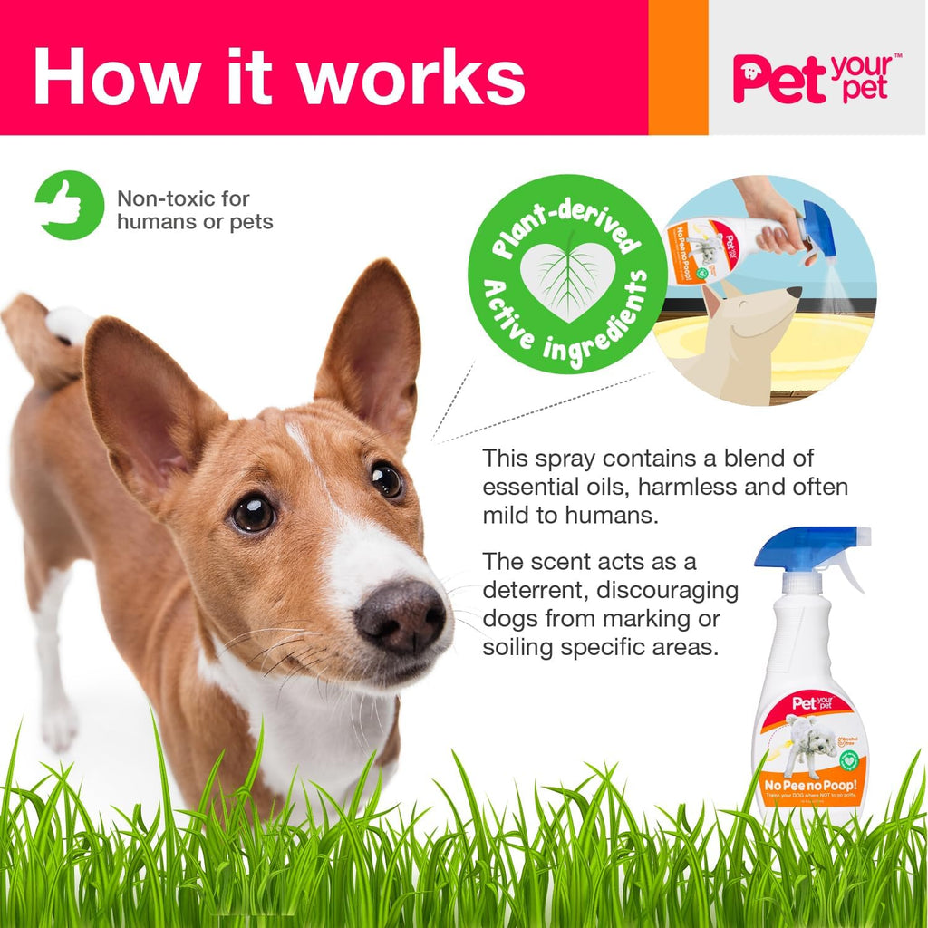 Pet Your Pet potty training spray 16 fluid ounce bottle