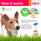 Pet Your Pet potty training spray 16 fluid ounce bottle