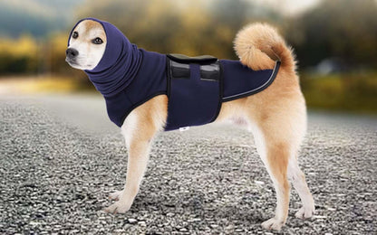 Two in one pet calming vest and noise canceling ear muff wrap