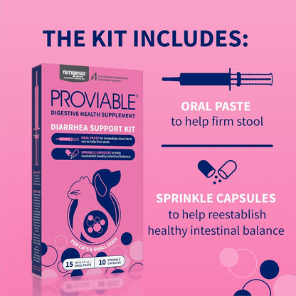 Proviable-DC probiotic sprinkle capsules for intestinal health
