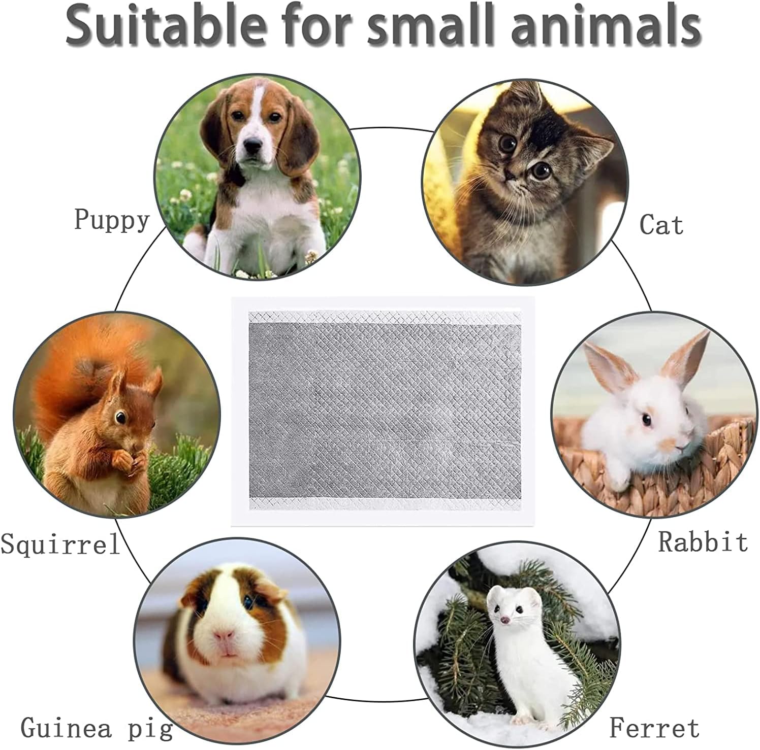Small animal using charcoal odor control liner