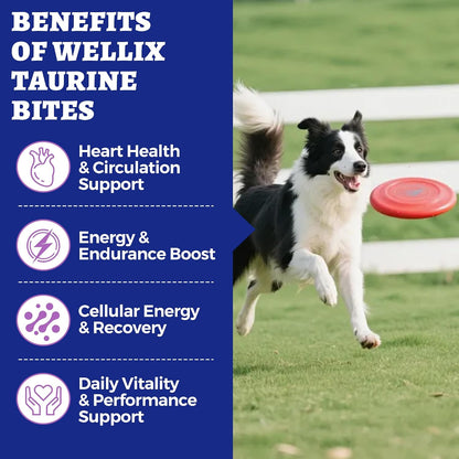 Authentic imported USA dog heart health bites with CoQ10 and fish oil.