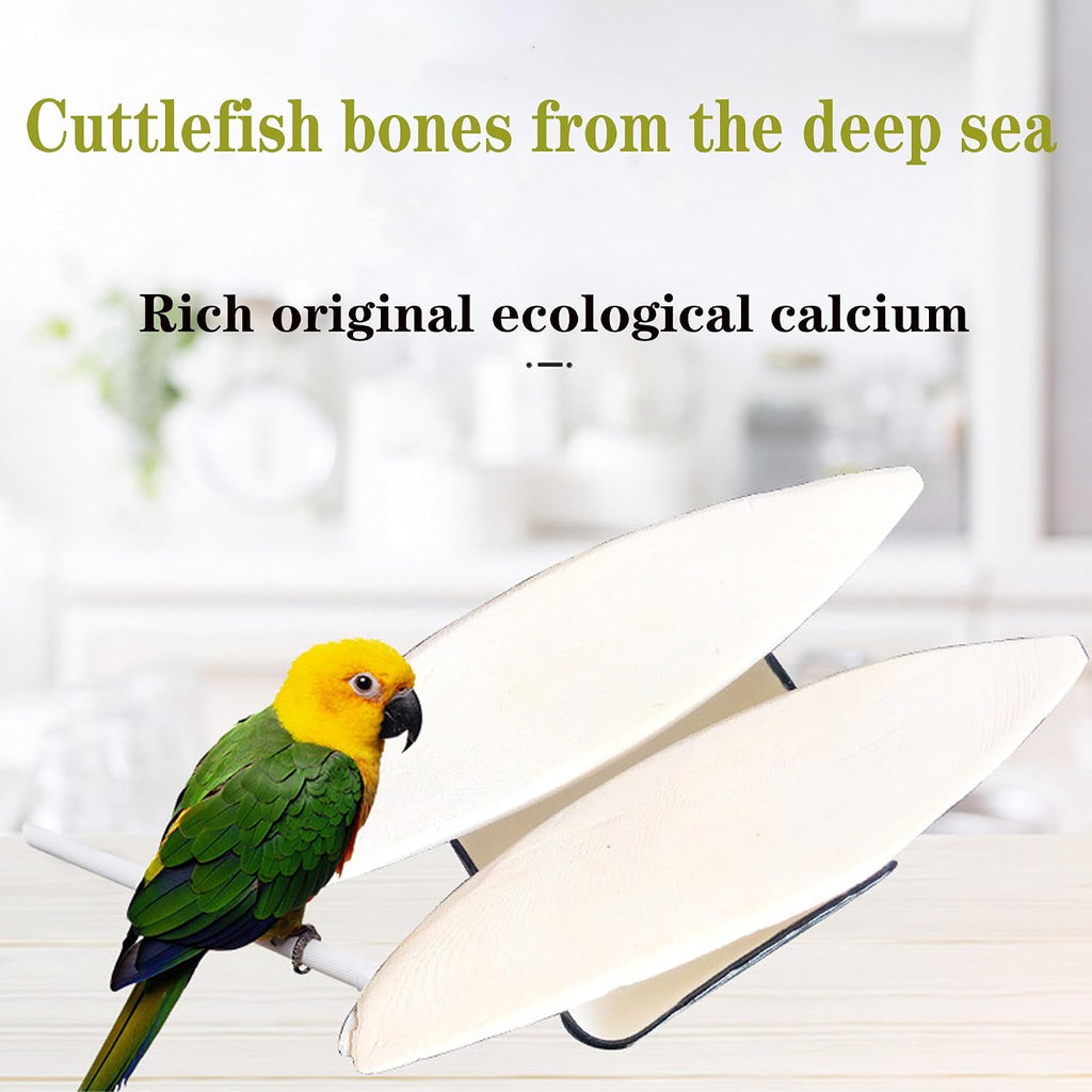 4.7-5.1'' Cuttlebone for Parakeets Cuttlebone for Birds - Natural Cuttlefish Bone Bulk Chew Toy Bird Bites Calcium Stone for Canaries Tortoises,Snails,Reptiles,Parrots,Cockatiel-20PCS - Image 8