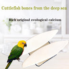4.7-5.1'' Cuttlebone for Parakeets Cuttlebone for Birds - Natural Cuttlefish Bone Bulk Chew Toy Bird Bites Calcium Stone for Canaries Tortoises,Snails,Reptiles,Parrots,Cockatiel-20PCS - Image 8