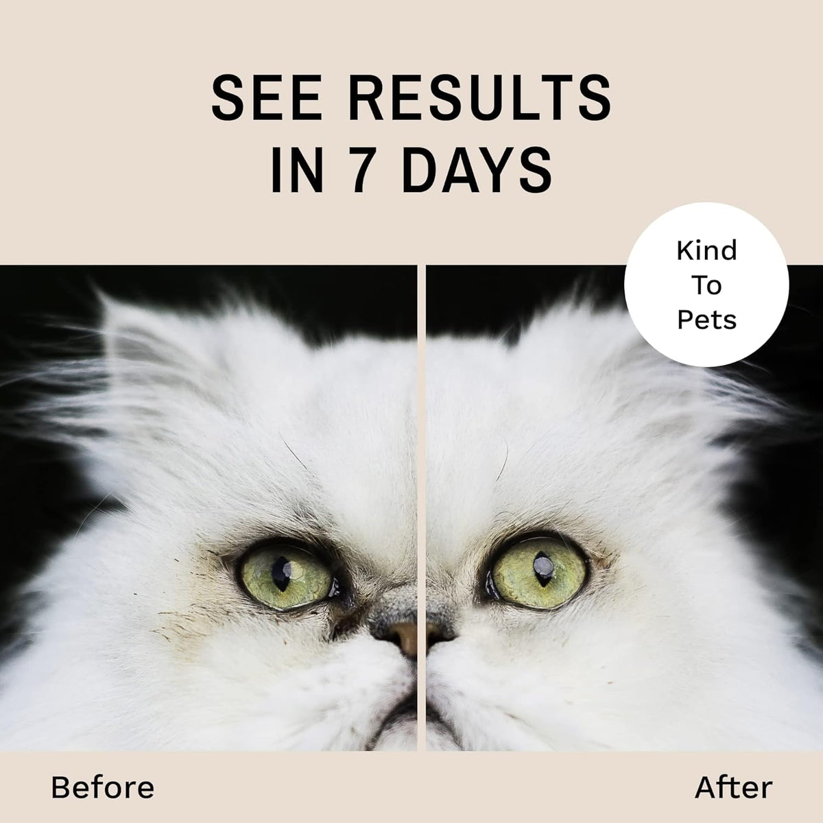 Eye Envy natural formula tear stain remover jar for Persian cats