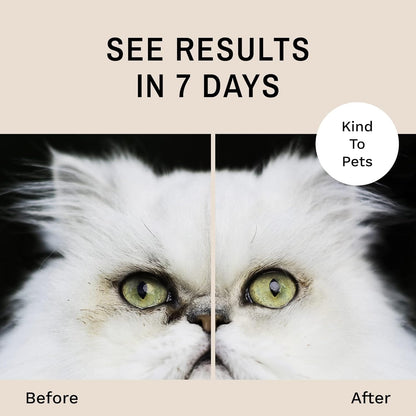 Eye Envy natural formula tear stain remover jar for Persian cats