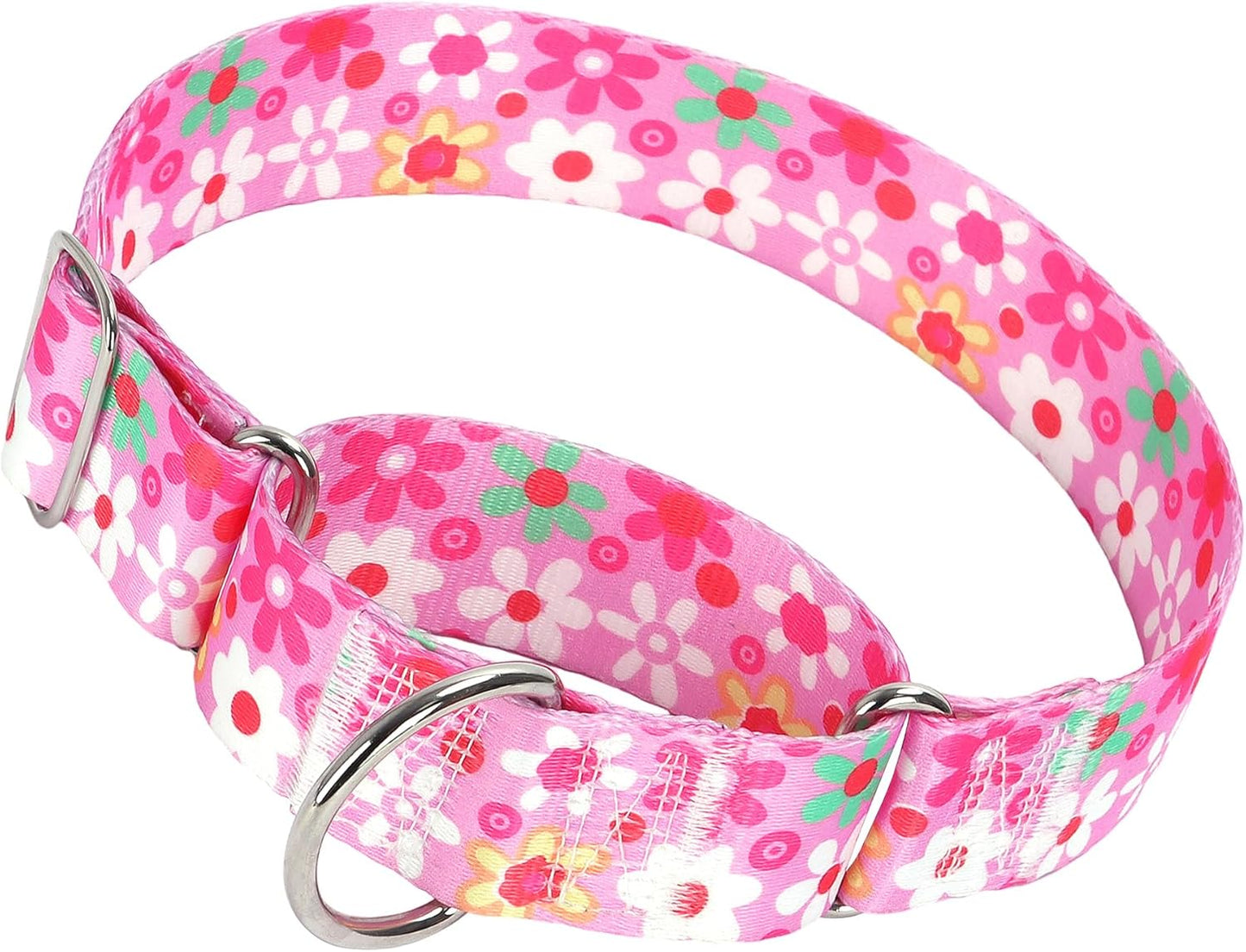 1.5 inch Skulls Martingale Collar for Dogs, Wide,Big&Thick Dog CollarHeavy-Duty Training Collar for Medium Large Extra Large Dogs- Skulls L - Image 9
