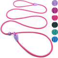 Viunimo slip lead dog training leash pink front view showcasing the integrated collar design.