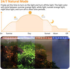 Submersible LED light mounted inside small fish tank