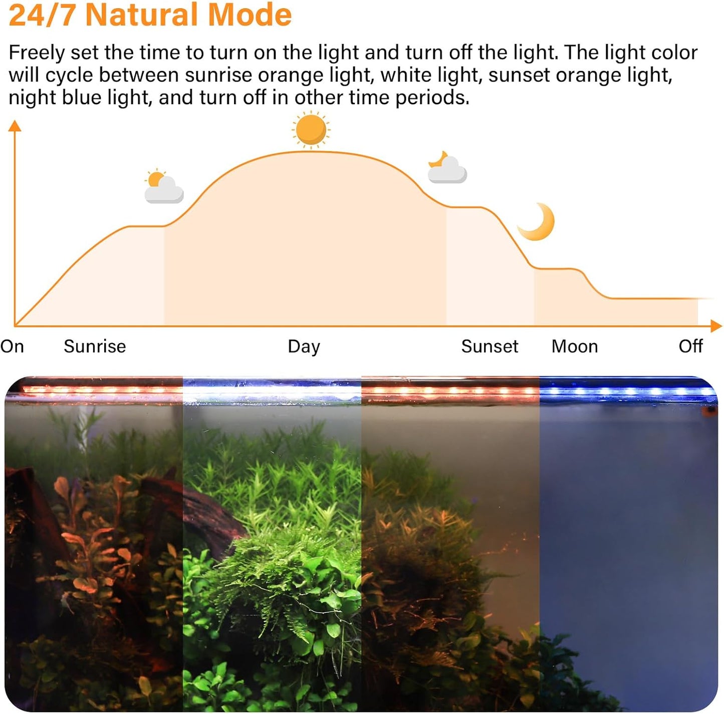 Submersible LED light mounted inside small fish tank