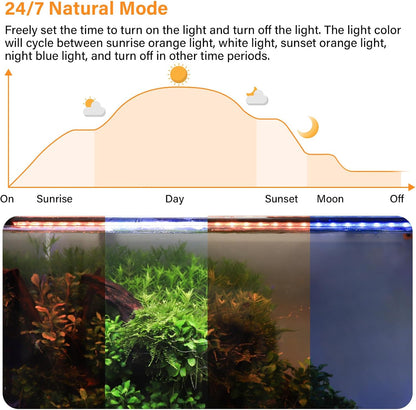 Submersible LED light mounted inside small fish tank