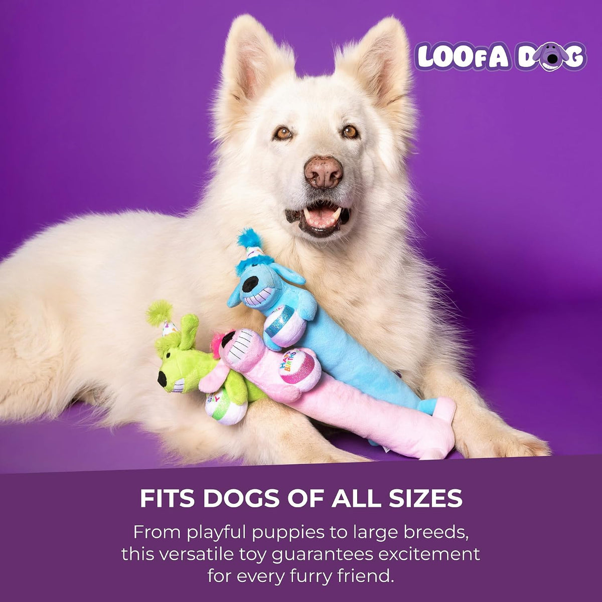Assorted colors of Multipet Happy Birthday Loofa toys