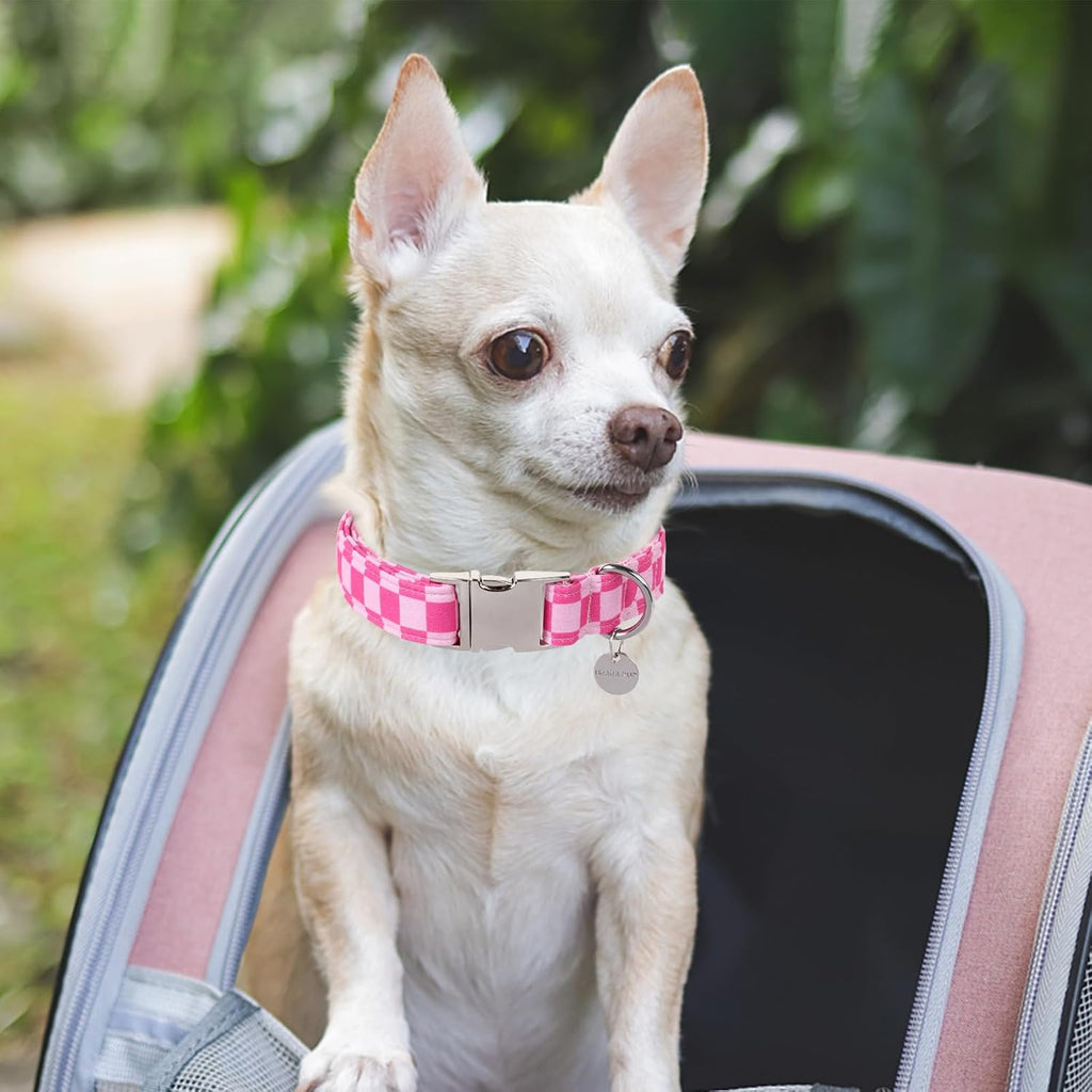 Up Urara Pup dog collar with adjustable metal clasp
