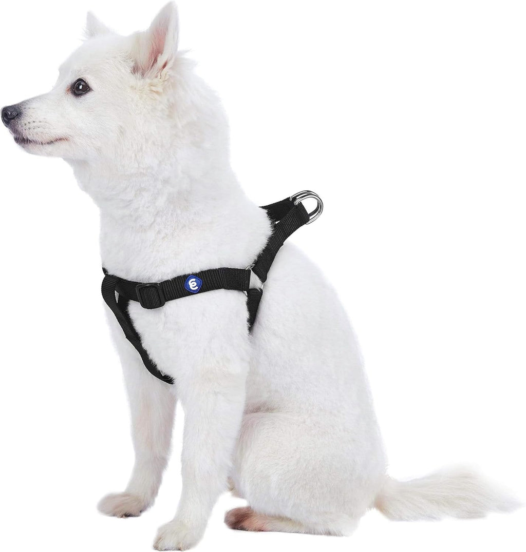 Blueberry Pet Essentials Step-in Dog Harness, Small Size | Adjustable Fired Brick Vest | Classic Solid Nylon for Boy & Girl Dogs, Chest Girth 16.5" - 21.5" - Image 9