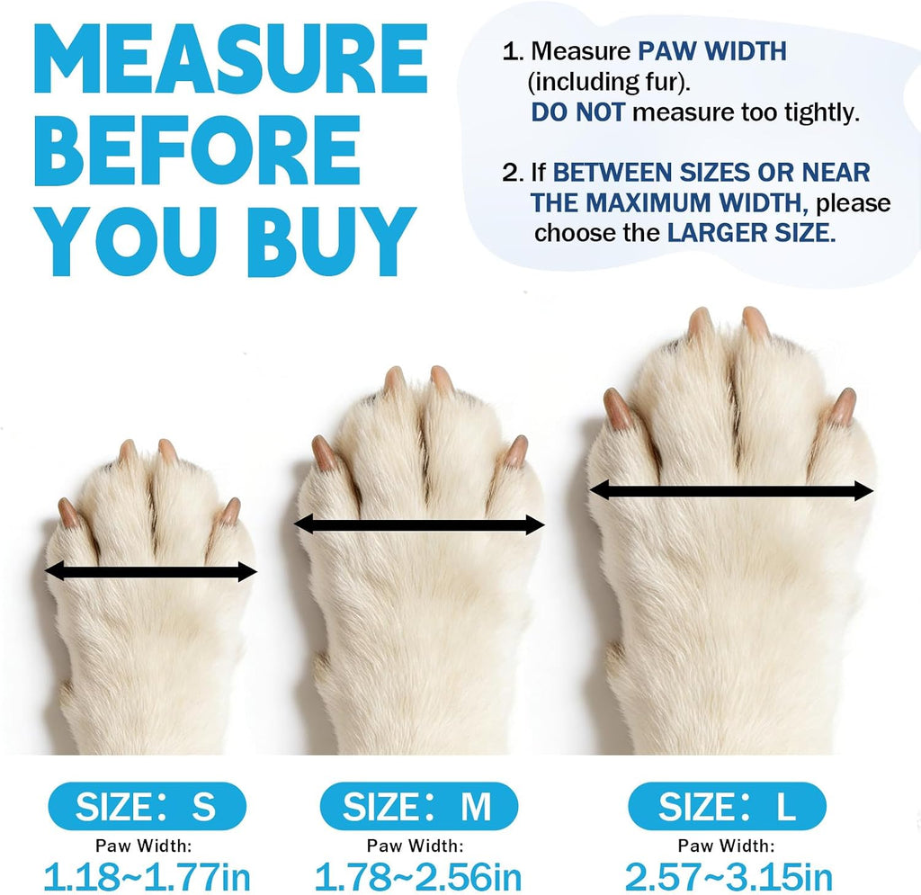 Dog wearing Furrtripsy waterproof paw protectors outdoors
