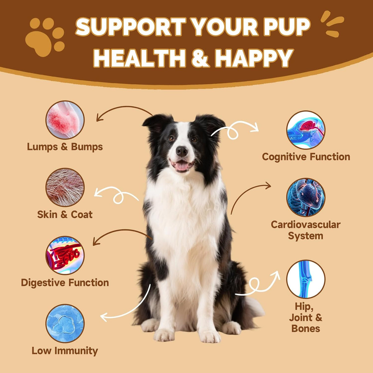 Liquid pet supplement pour showing chicken flavor consistency for picky eaters