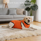 Avont premium imported dog recovery clothing packaging and size chart details