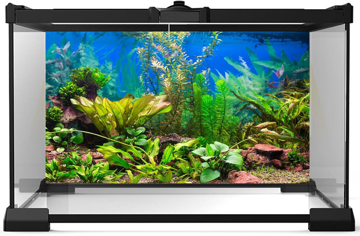 Riivvdise fish tank backdrop showcasing realistic stone river bed and purple stones.