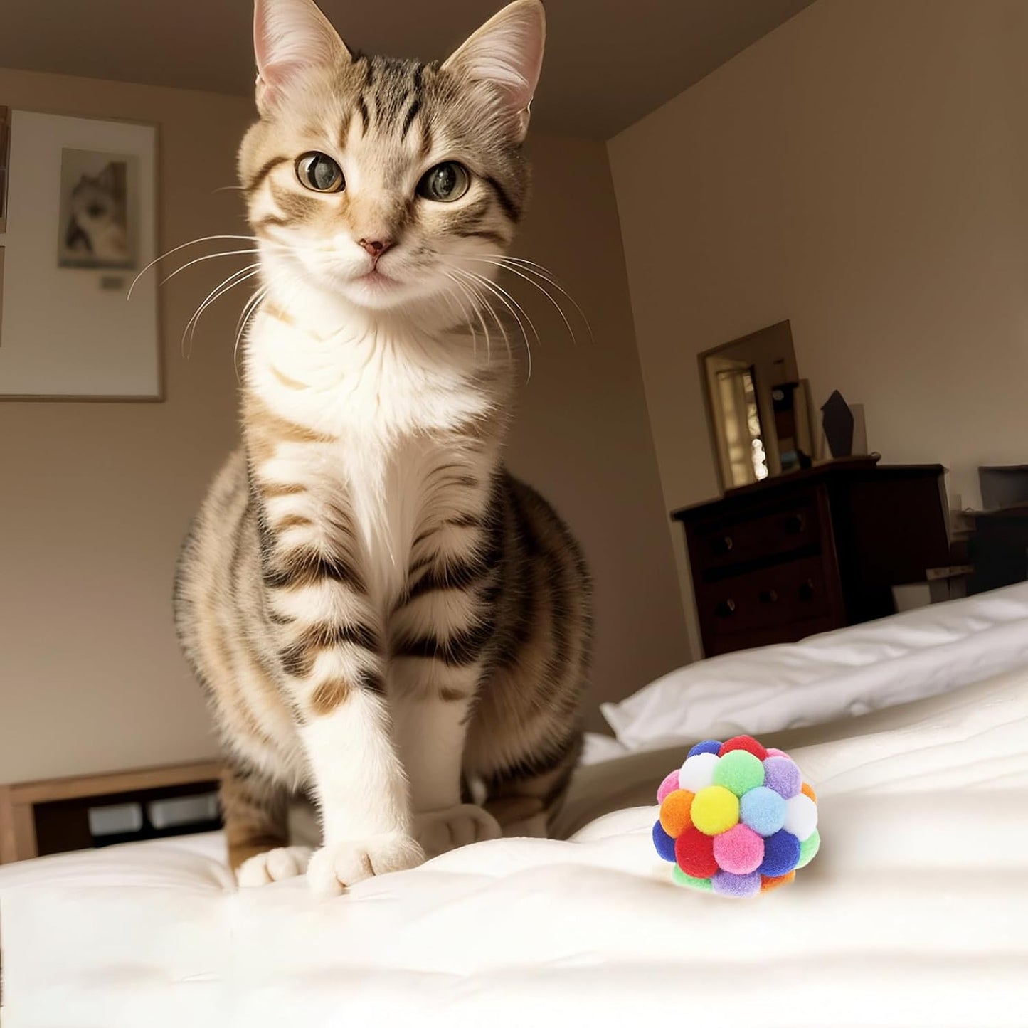 Vibrant random colored plush spheres for interactive cat chasing games