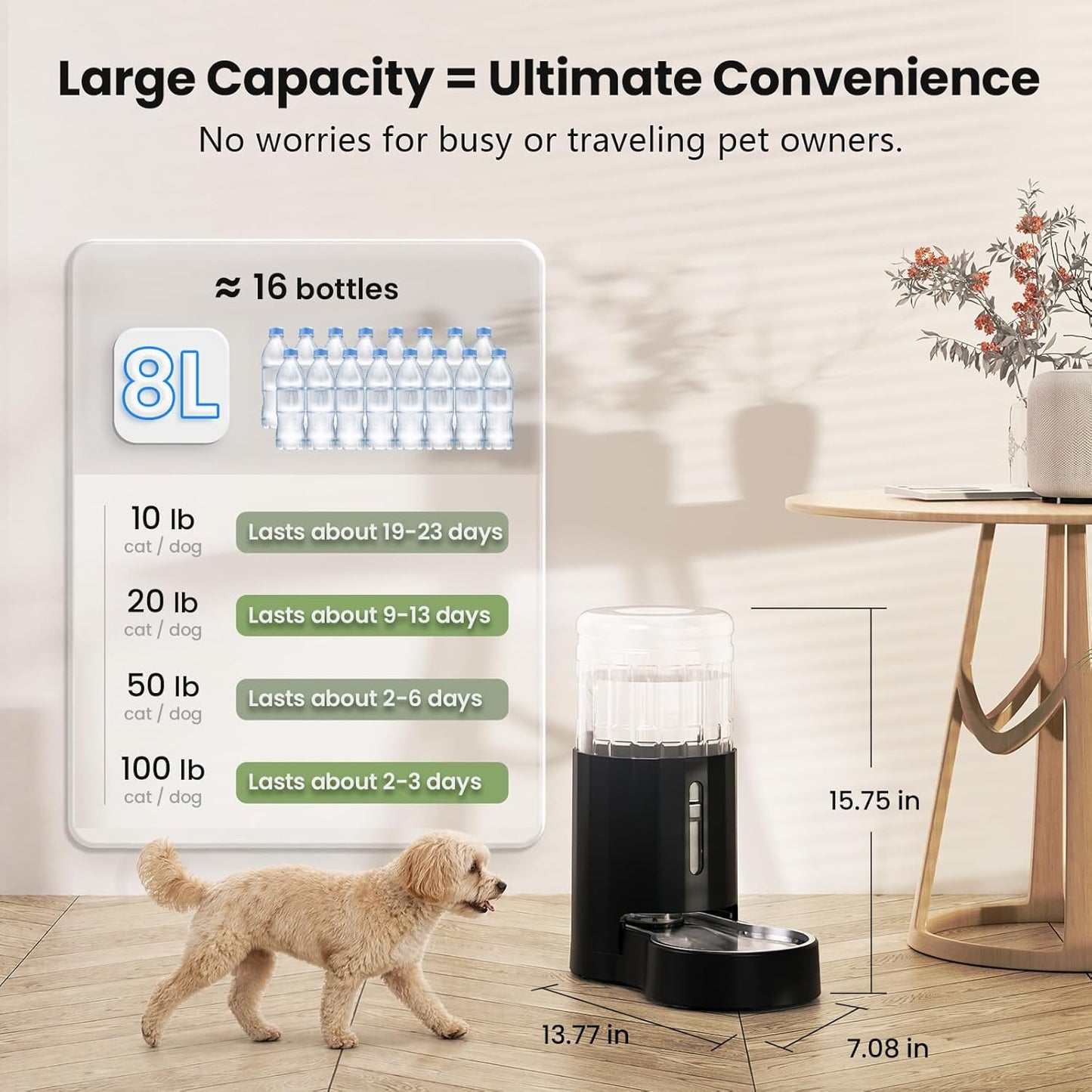 CZPET 8 Liter water station showing the anti slip base and secure jug lock mechanism