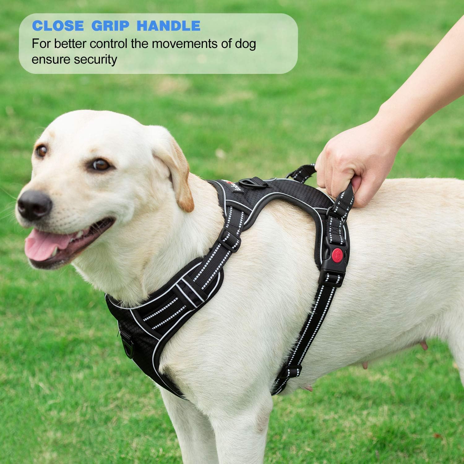 tobeDRI No Pull Dog Harness Adjustable Reflective Oxford Easy Control Medium Large Dog Harness with A Free Heavy Duty 5ft Dog Leash - Image 5