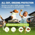 EcoVenger Flea Collars for Dogs & Cats - Flea & Tick Repellent 2-Pack Green. Built-in Pant-Based Formula Strong Repellency Slow Release, Lasting Protection, Pleasant Aroma, Waterproof - Image 3