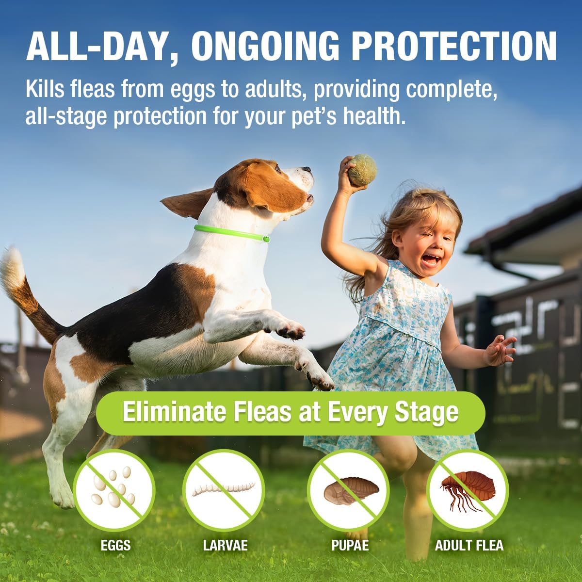 EcoVenger Flea Collars for Dogs & Cats - Flea & Tick Repellent 2-Pack Green. Built-in Pant-Based Formula Strong Repellency Slow Release, Lasting Protection, Pleasant Aroma, Waterproof - Image 3