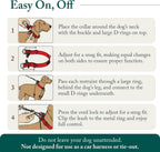 Full body layout of the large size sporn no pull dog training halter in classic black.