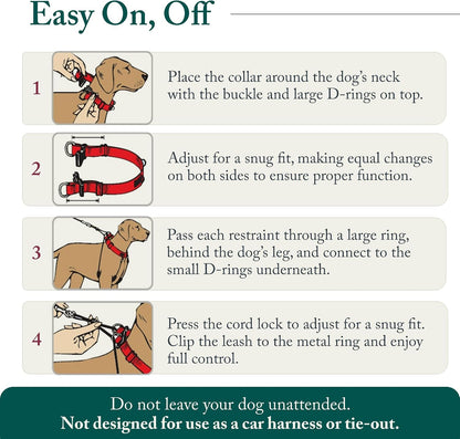 Side angle of a large breed dog wearing the authentic imported Sporn anti pulling training collar