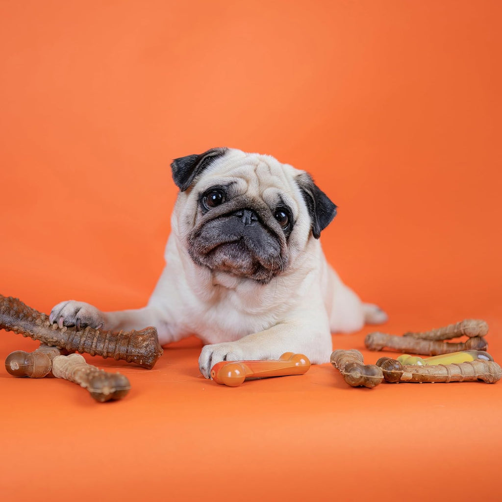 Highly digestible safe rawhide alternative chews for adult dogs up to thirty-five pounds