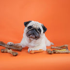Highly digestible safe rawhide alternative chews for adult dogs up to thirty-five pounds