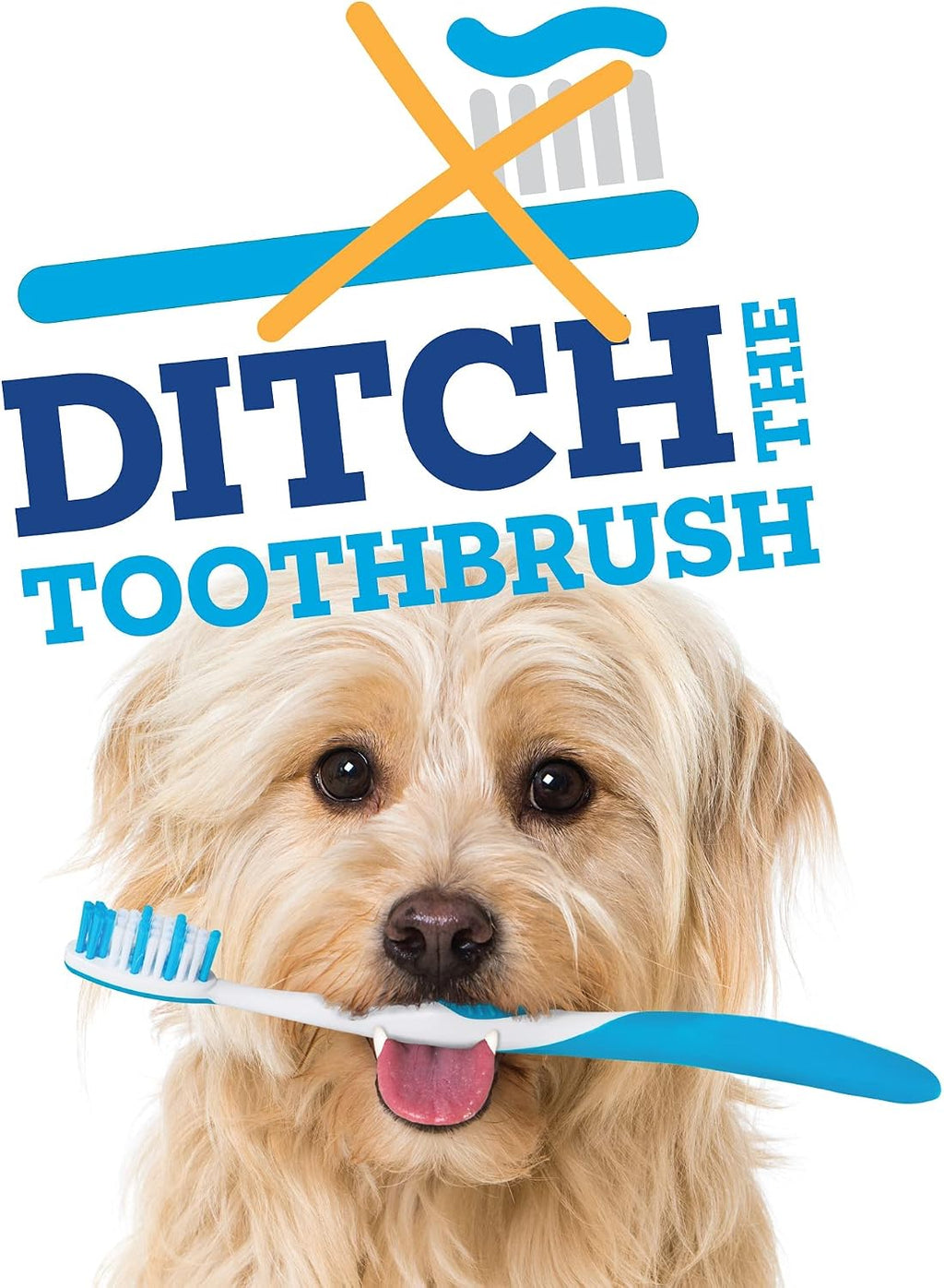 Vetality dog dental chews packaging showing USA imported certification