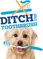Vetality dog dental chews packaging showing USA imported certification
