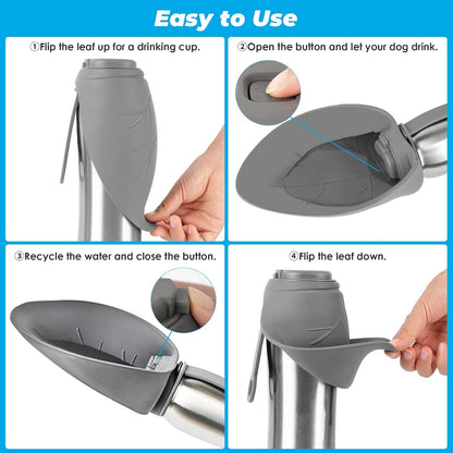 BPA free travel dog bowl and water dispenser being used outdoors