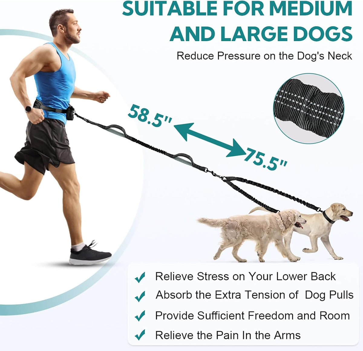 Adjustable waist bag pouch attached to premium dual dog jogging lead
