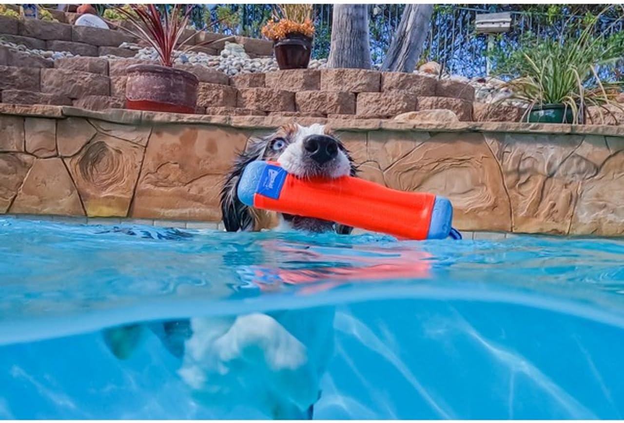 Chuckit! Amphibious Bumper medium dog toy showing the non-slip knotted rope handle.