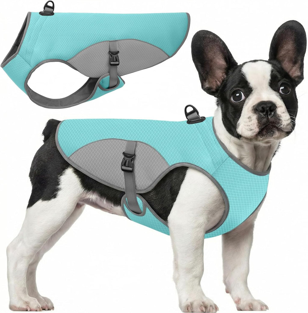 Preferhouse dog cooling jacket blue large size front view