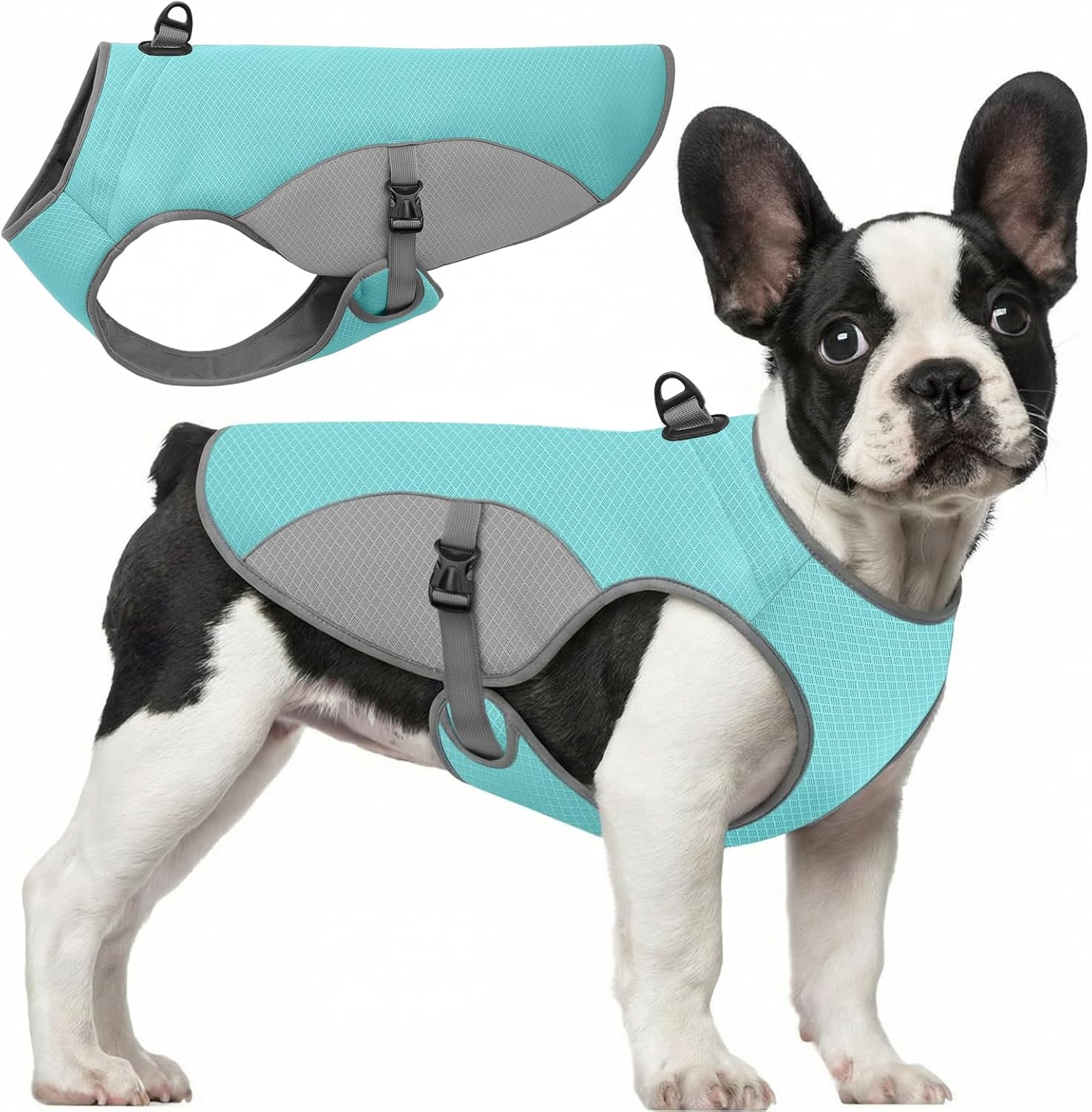 Preferhouse dog cooling jacket blue large size front view