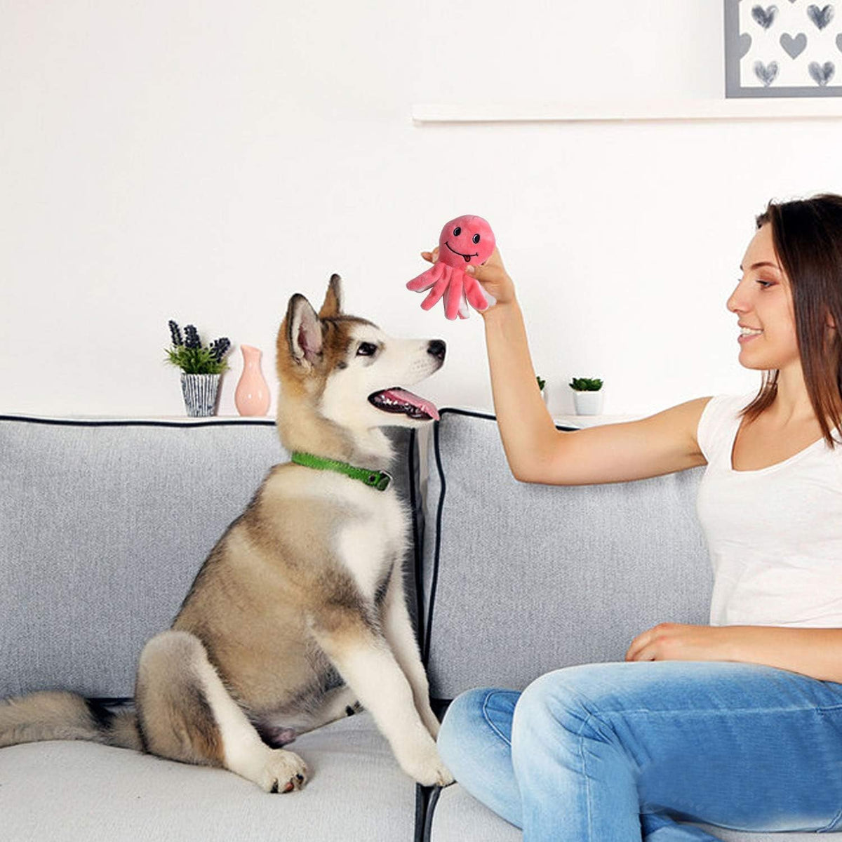 Demonstration of the interactive built in squeaker element inside the soft dinosaur pet toy.