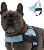 Dog Friendly Co. Dog Harness | Chafe Resistant Webbing, Adjustable Neck & Chest, and Heavy Duty D-Ring | Sturdy, Comfortable, Easy to Use | Classic Blue, Size L - Image 7