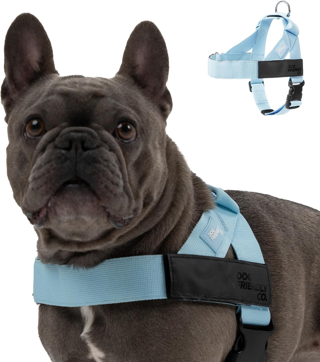 Dog Friendly Co adjustable neck and chest strap mechanism details