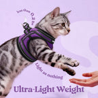 Kitten wearing purple rabbitgoo step in vest with leash