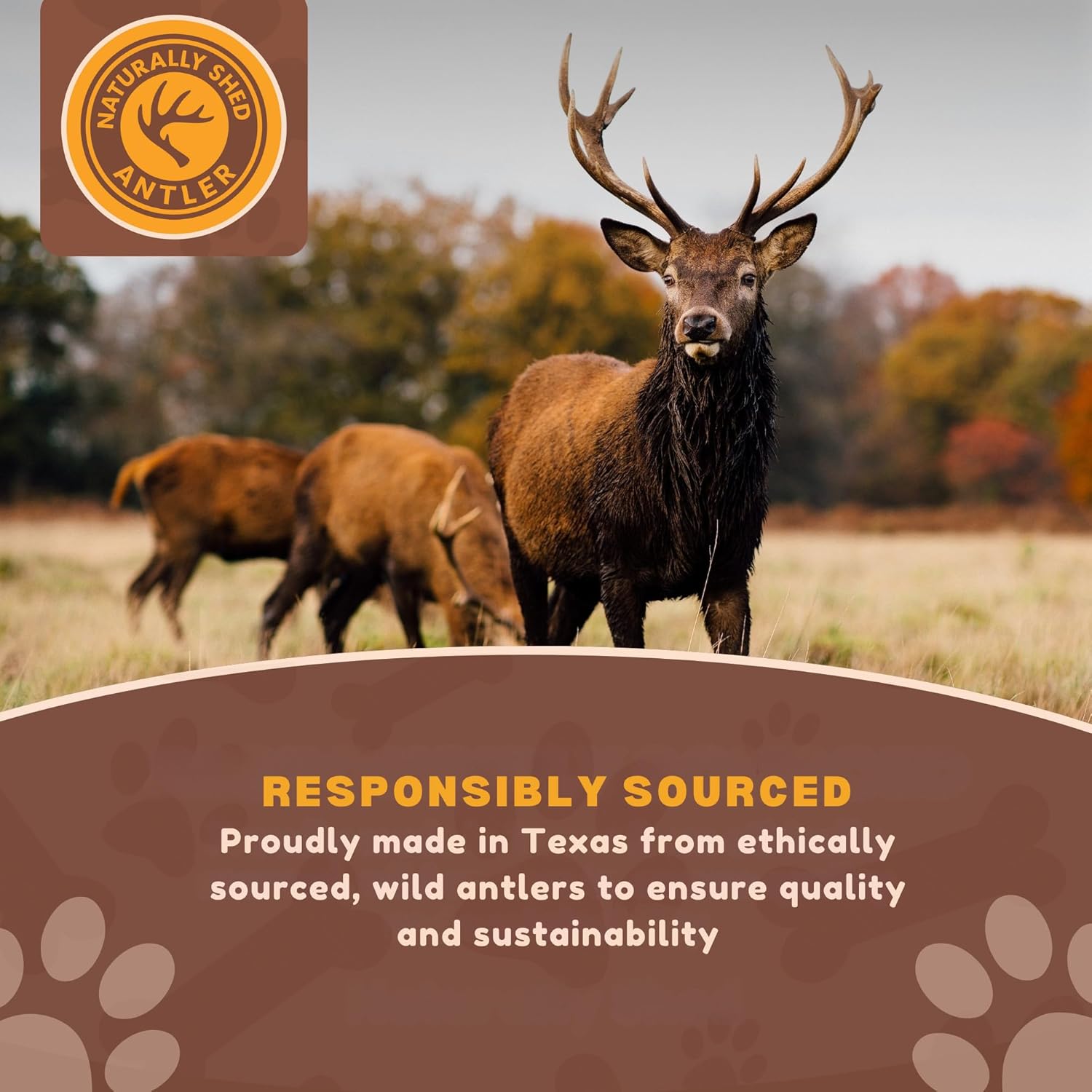 WhiteTail Naturals authentic USA imported natural pet treats packaging details