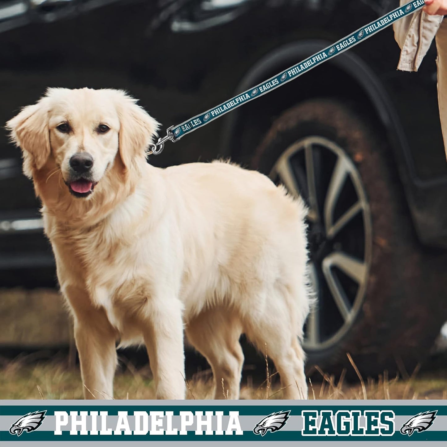 Durable metal swivel clip on Pets First NFL pet leash