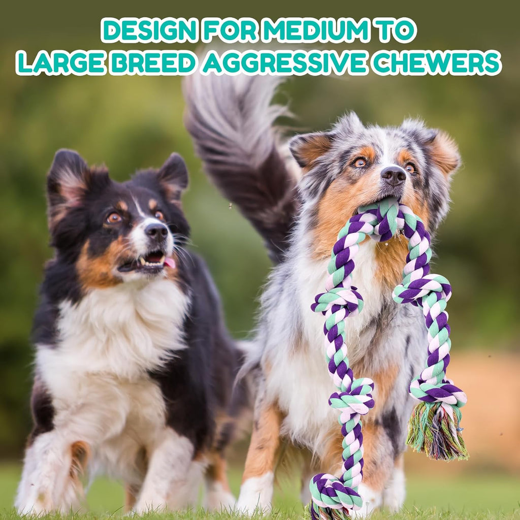 Packaging view of the authentic Loncoldy imported premium pet chew toy.