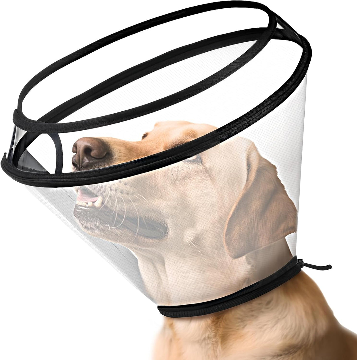 Bonthee dog cone collar front view for surgery recovery