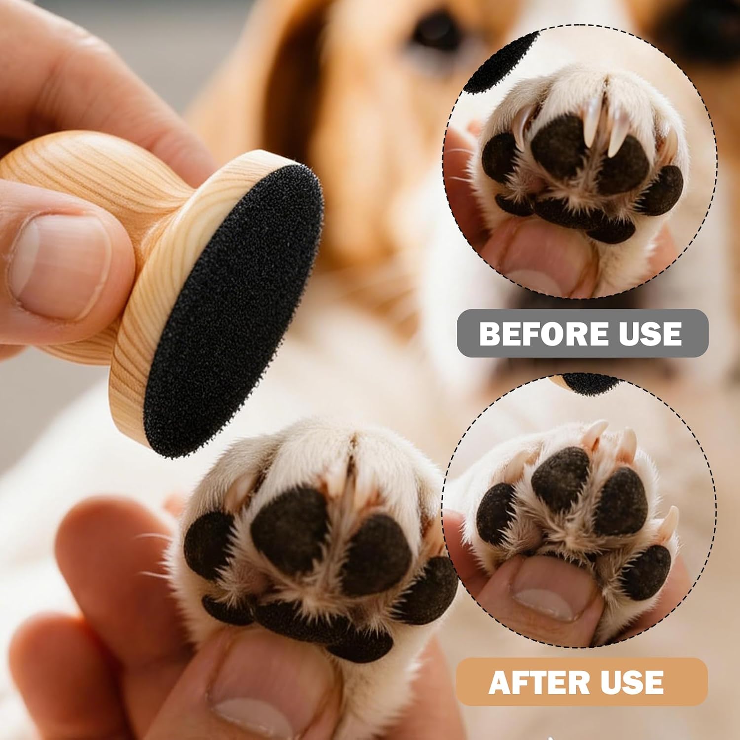 Arvintas scratch pad set for dogs and cats