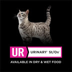 Purina Pro Plan Veterinary Diets UR Urinary St/Ox Savory Selects Feline Formula Salmon Recipe in Sauce Wet Cat Food - (Pack of 24) 5.5 oz. Cans - Image 10